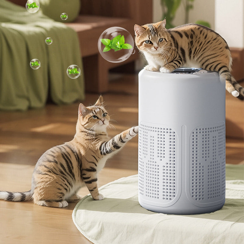 Multi‑Layer Filtration Quiet Air Purifier